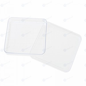 Boîte de Pétri de culture cellulaire carrée de 100 mm