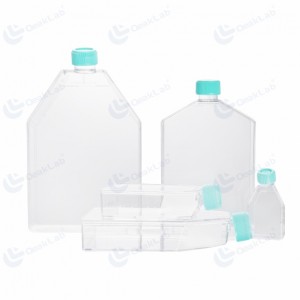 Zellkulturflasche mit Verschlusskappe
