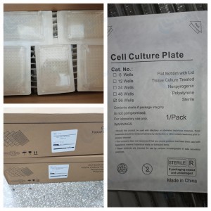 Hücre Kültürü Plakası, 48-Well, doku kültürüyle işlenmiş